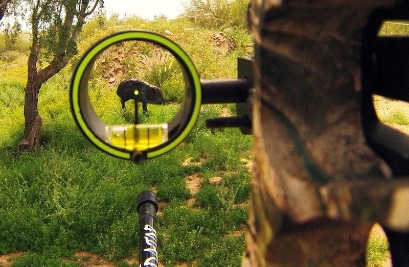 Best Bow Sight for Elk Hunting